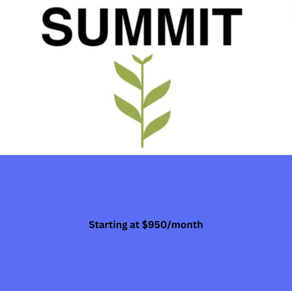 Summit Membership